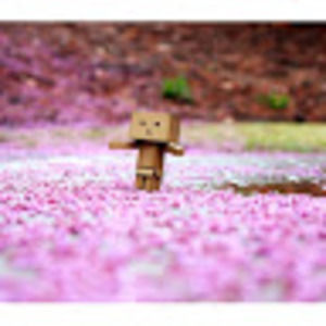 Meet your Posher, Melina